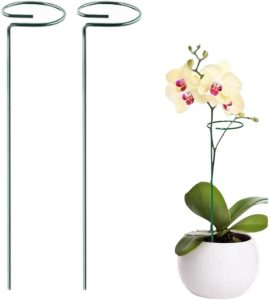Kit 2 Tutor Suporte para Apoiar Plantas Hastes para Diversos Tipos de Plantas - Top Garden (45cm)
