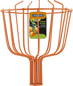 Colhedor De Frutas, Sem Cabo