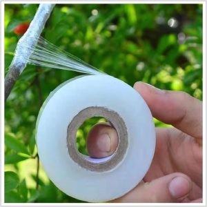 Fita de enxertia transparente esticável para plantas mudas, fitas de enxerto de jardim de árvores frutíferas Plantas Árvore Fita de Jardinagem Frutífera Fitas de vedação de plantas 5cm x 150m