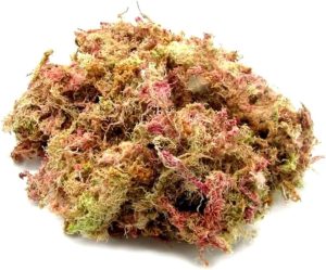 Musgo Esfagno Rosado 3L Seco P/Orquídeas Plantas Carnívoras